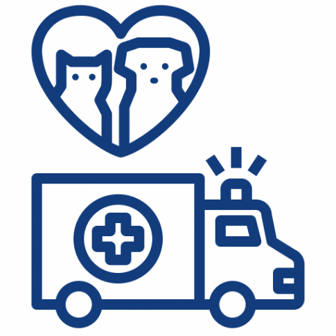 pet air and ground transport icon